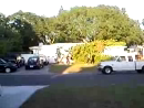 Tree Removal FAIL test_normal