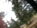 Unicyclist Moron test_normal