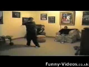 Wii Accident  test_normal