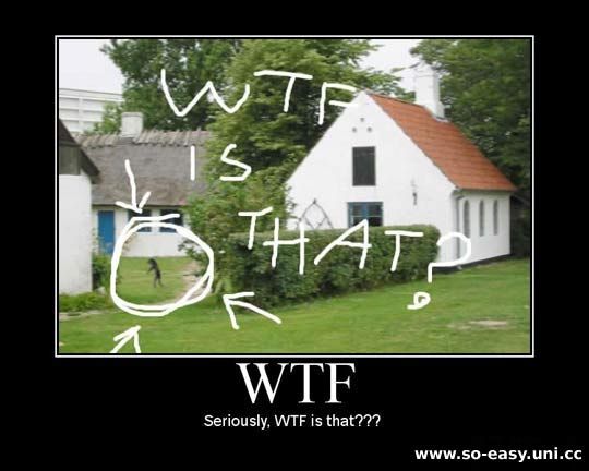 WTF Is That! Picture