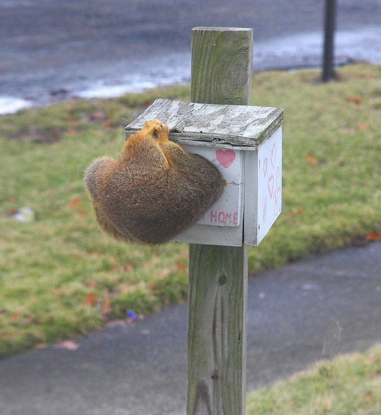 You've Got Mail Picture